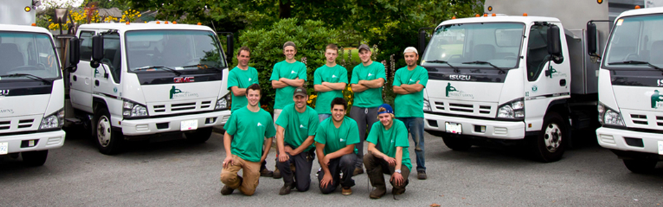 Project Lawns Team