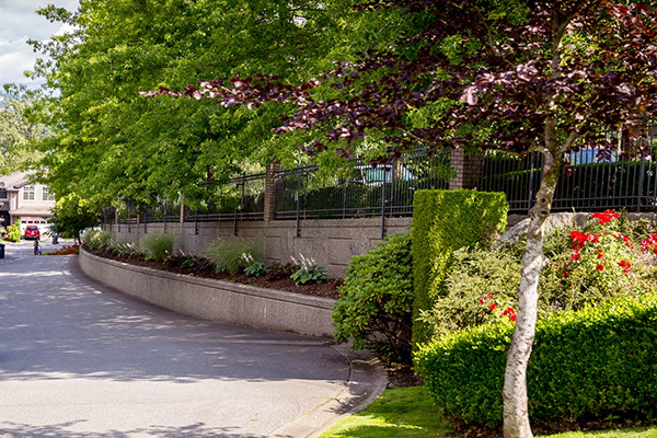Citadel Pointe